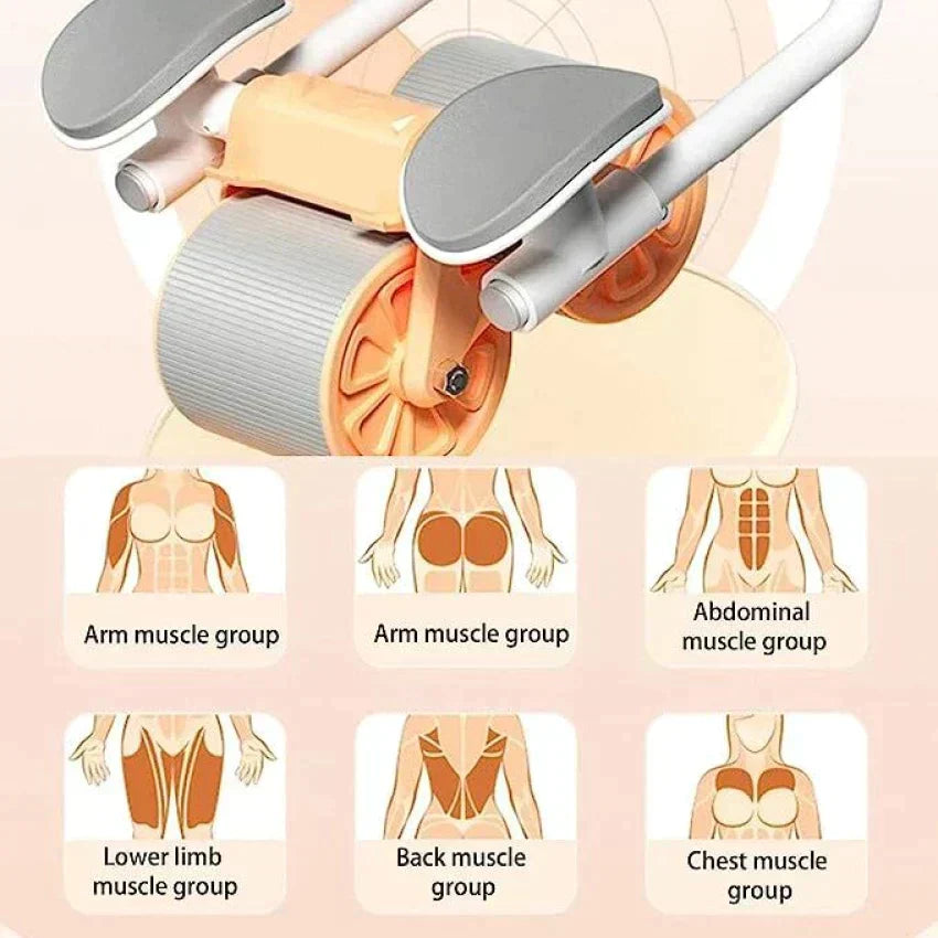 Abs Exercise Roller